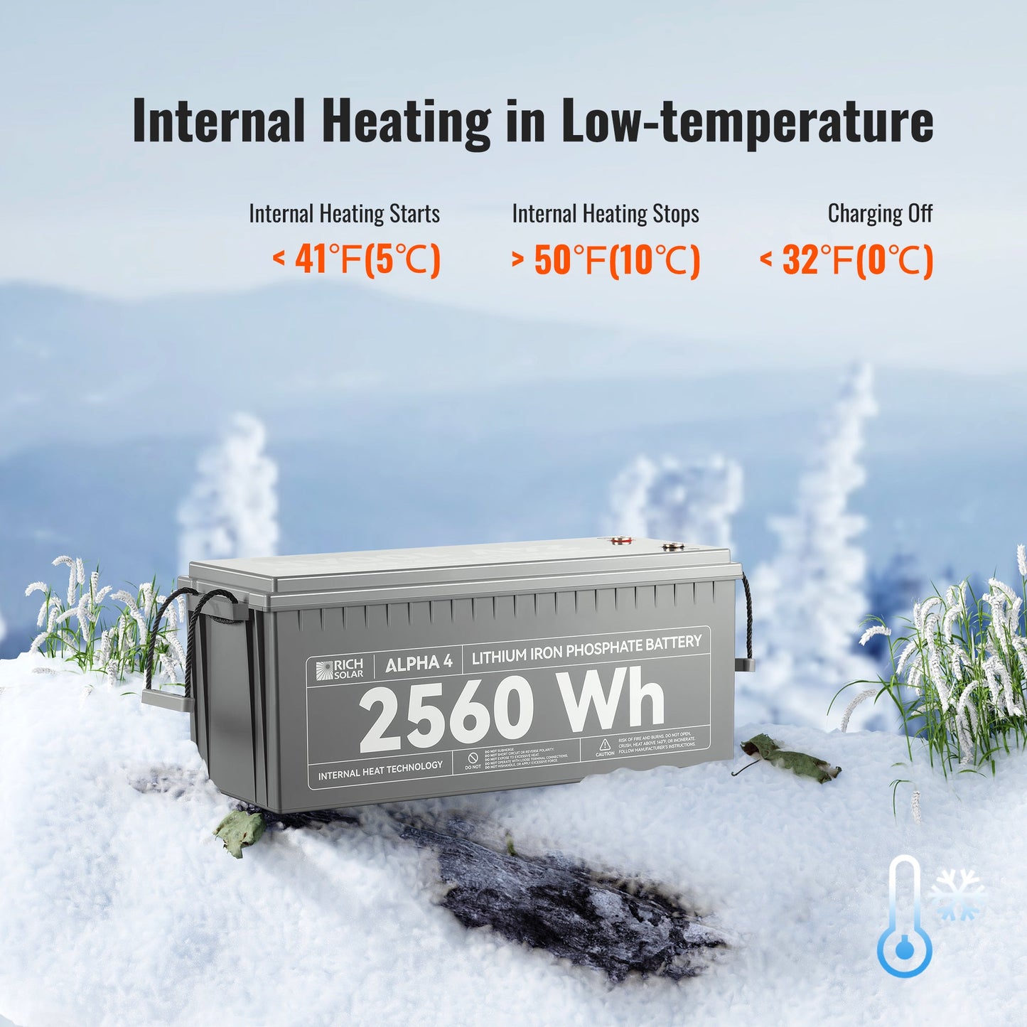 Rich Solar Alpha 4 & Alpha 4 Lite 24V 100Ah LiFePO4 Battery