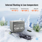 RICH SOLAR Alpha 1 12V 100Ah LiFePO4 Lithium Battery (Lite, Standard & Pro)